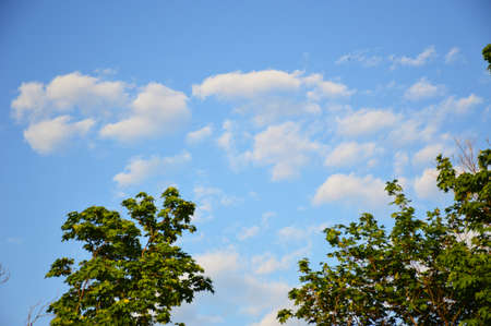 small white fluffy clouds in the blue sky. beautiful spring skyの写真素材