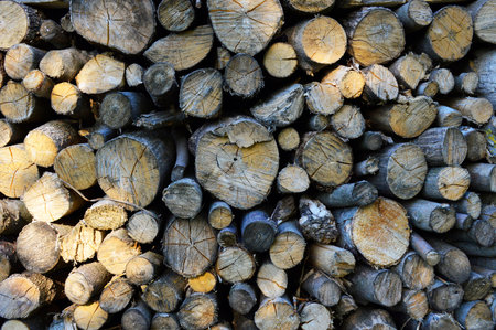 background of wooden cuts of different thicknesses and diameters stacked one on top of the other