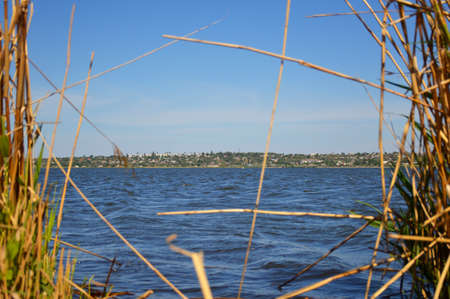 the blue water surface of the lake is visible through the passage in the reedsの写真素材