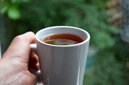 male hand holding a cup of tea on a green bokeh backgroundの写真素材