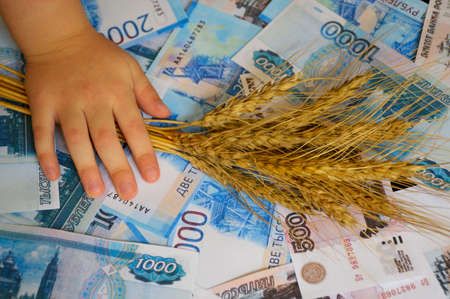 background of Russian rubles of various denominations, on top of the money lies a child's hand holding a bunch of ripe wheat earsの写真素材