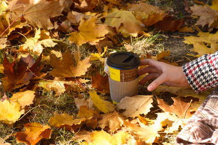 hot drink tea or coffee in a disposable paper cup in hand against the background of fallen autumn...