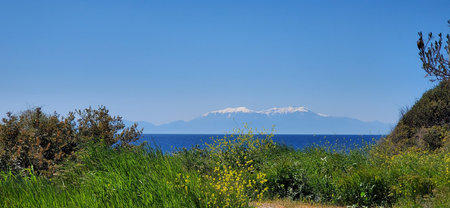 seashore overgrown with grass and a mountain with snow in the background. beauty in nature. seascape and mountain glacierの写真素材