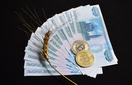 ear of wheat or barley and bitcoin coins on Russian rubles on a black background. buying or selling grain for cash or cryptocurrency. transition to electronic and non-cash payments. grain dealの写真素材