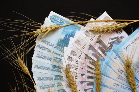 ears of wheat of black color on a fan of Russian rubles on a black background. selling or buying grain for cash. grain deal. world food program to help hungry countriesの写真素材