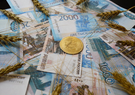 ear of wheat or barley and bitcoin coins in Russian rubles. buying or selling grain for cash or cryptocurrency. transition to electronic and non-cash payments. grain dealの写真素材
