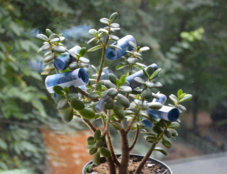 money tree in a flower pot and Russian rubles on the leaves. symbolizes financial growth, success and wealth. harvest from Russian banknotesの写真素材
