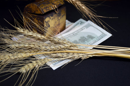 dollars, chest and ears of wheat. Import and export of grain for currency. world food crisis. grain deal. food security of the country. marketing of agricultural products under sanctionsの写真素材