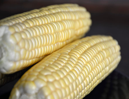 ready-to-cook raw corn cobs close-up. a valuable product rich in fiber, vitamins and minerals. tasty...