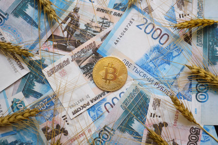 ear of wheat or barley and bitcoin coins on Russian rubles. buying or selling grain for cash or cryptocurrency. transition to electronic and non-cash payments. grain dealの写真素材