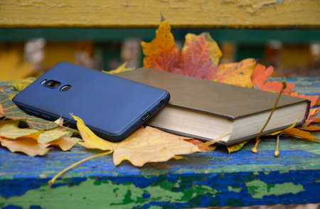 a closed book and a smartphone lie on beautiful autumn leaves on a bench in a city park. hobbies and relaxation while walking in the fresh air. additional education and literary readingの写真素材