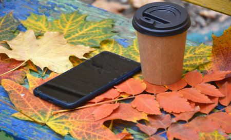 a disposable cup with a hot drink and a smartphone lie on beautiful autumn leaves on a bench in a city park. warming up with tea or coffee while walking in the fresh airの写真素材