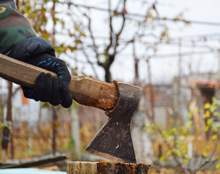 male hands in black gloves hold an ax for chopping wood. autumn preparation of firewood before the winter cold. ecological material for heating with a fireplace or stoveの写真素材