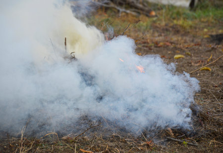 fire and acrid thick smoke from burning dry leaves, branches and grass. damage to the environment and harm to the health of surrounding people. environmental problems in villages and summer cottagesの写真素材