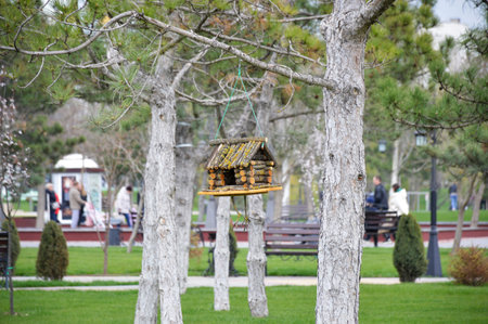 A bird feeder in the shape of a house made of wooden blocks hangs on a tree in a city park. caring...