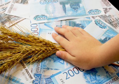 background of different denominations, on top of the money lies a man's hand holding ripe ears of wheat. export and import of grain. sale for . grain deal. food crisisの写真素材