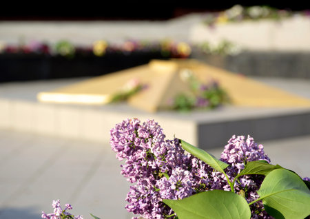 lilac flowers near the eternal flame at the Glory Memorial. expression of gratitude to the soldiers who died in the fight against fascism. burial of those fallen in the Great Patriotic Warの写真素材