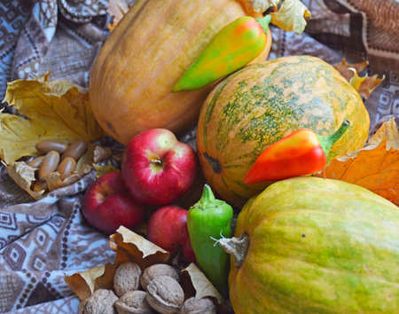 ripe gifts of autumn on a warm blanket and yellow maple leaves. pumpkins, apples, bell peppers,...