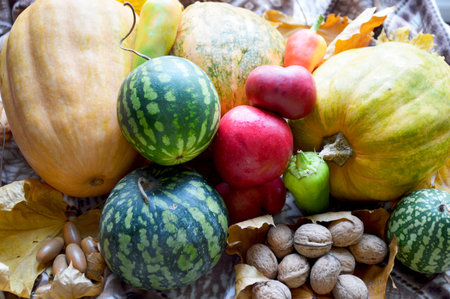 ripe gifts of autumn on a warm blanket and yellow maple leaves. pumpkins, apples, watermelons, bell...