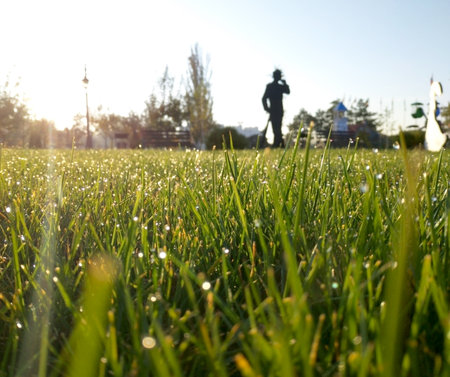 green grass with drops of morning dew in the rays of the rising sun. beauty in nature. drops of water sparkle in the sun like scattered pearlsの写真素材