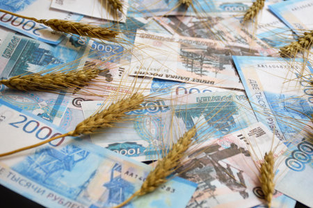 ears of wheat of black color on a fan of Russian rubles on a black background. selling or buying grain for cash. grain deal. world food program to help hungry countriesの写真素材