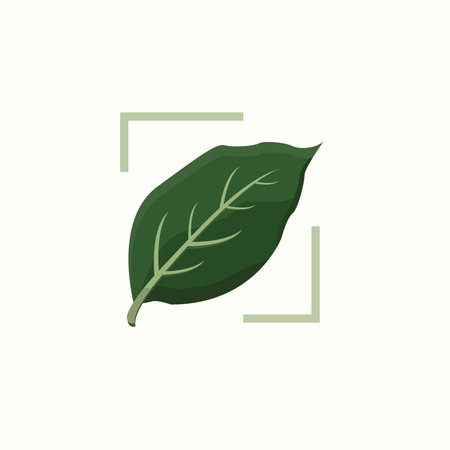 Simple design of an Anthurium Leaf