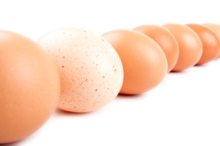 nice eggs on a white background