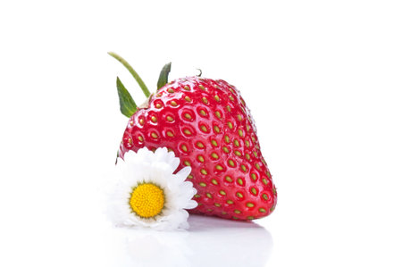 Fresh strawberry and camomile isolated on a white background.の写真素材