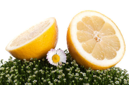 fresh lemon on a green grass isolated on a white backgroundの写真素材