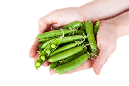 fresh green peas in hand isolated on a white backgroundの写真素材