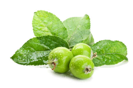 early fresh apples isolated on a white backgroundの写真素材