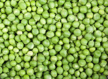 fresh and green peas on a backgroundの写真素材