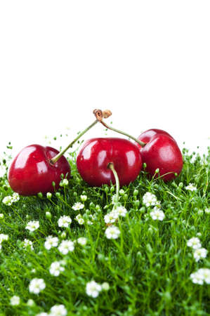 fresh cherry on a green grass isolated on a white backgroundの写真素材
