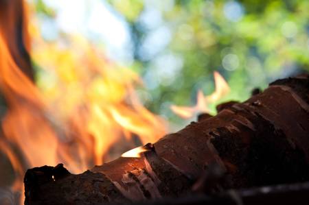 Dry sticks of wood burn in the fire backgroundの写真素材