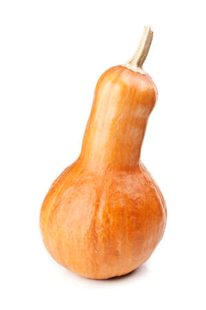 fresh melon isolated on a white backgroundの写真素材