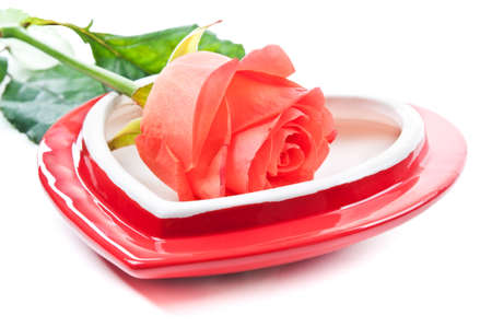 heart and red rose isolated on a white backgroundの写真素材