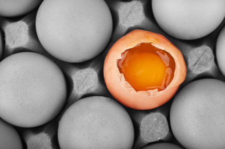 creative broken egg on a backgroundの写真素材