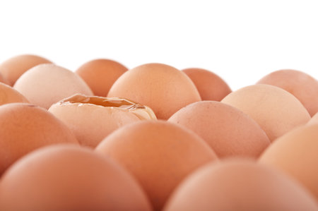 broken egg isolated on a white background