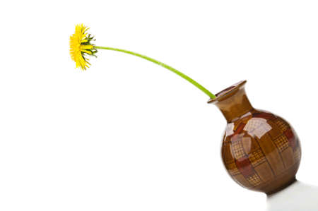 dandelion flower in vase isolated on a white backgroundの写真素材