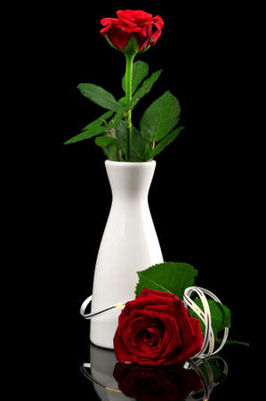 red rose on black backgroundの写真素材