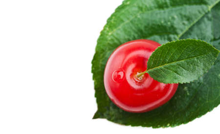 fresh cherry on leaf isolated on white backgroundの写真素材