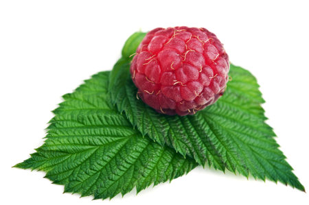 natural raspberry isolated on white backgroundの写真素材