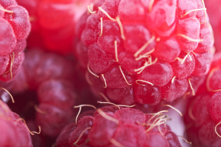 closeup of red raspberry background