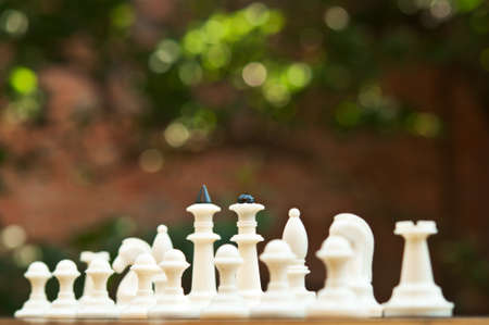 Chess pieces on wood board backgroundの写真素材