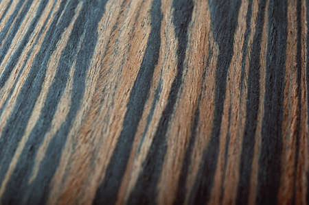 closeup of wooden texture backgroundの写真素材