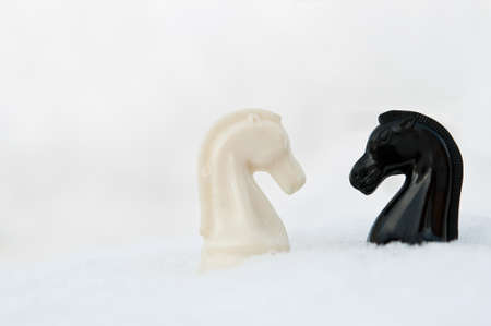 winter chess pieces knight on snowの写真素材