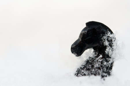 winter chess pieces knight on snowの写真素材