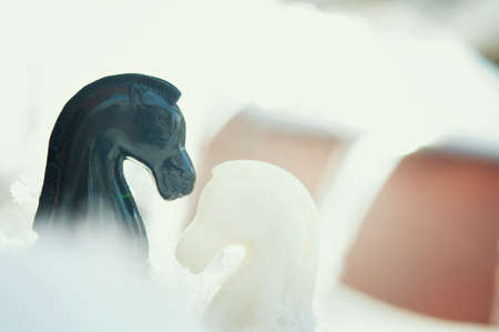 winter chess pieces knight on snowの写真素材