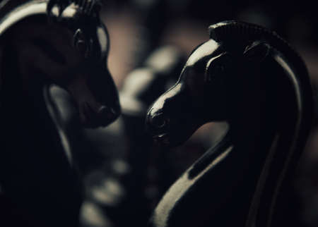 black knight chess pieces on backgroundの写真素材
