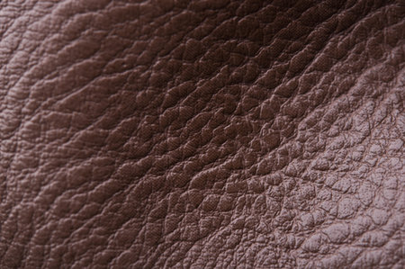 brown leather texture. skin background